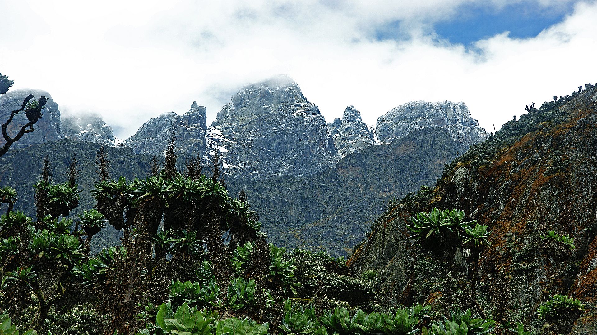 Explore Margherita Peak, Uganda's highest point, offering challenging climbs and breathtaking views in the Rwenzori Mountains.