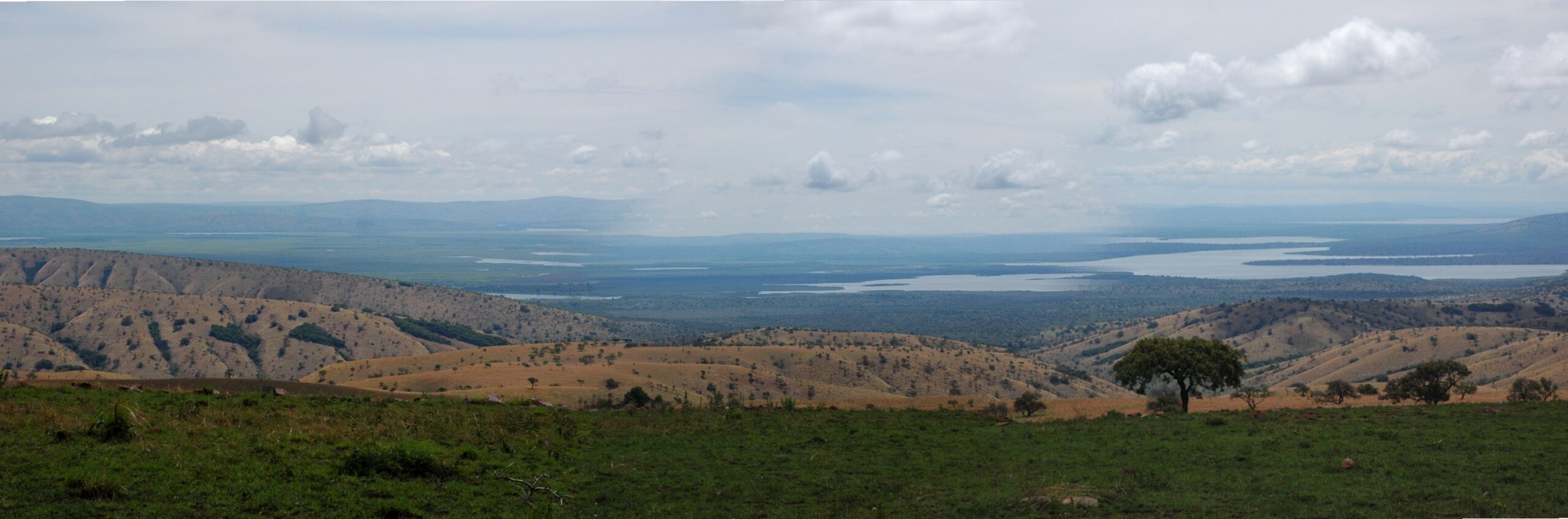 rwanda wildlife viewing and safari