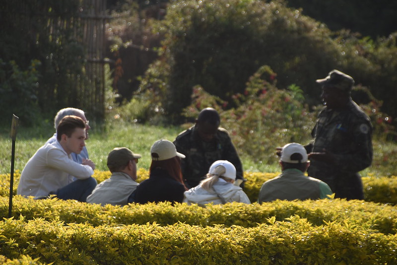 Volcanoes National Park Rwanda