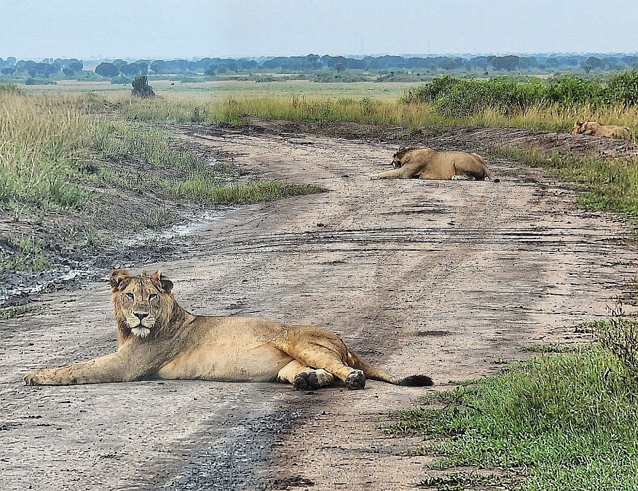 Queen Elizabeth National Park