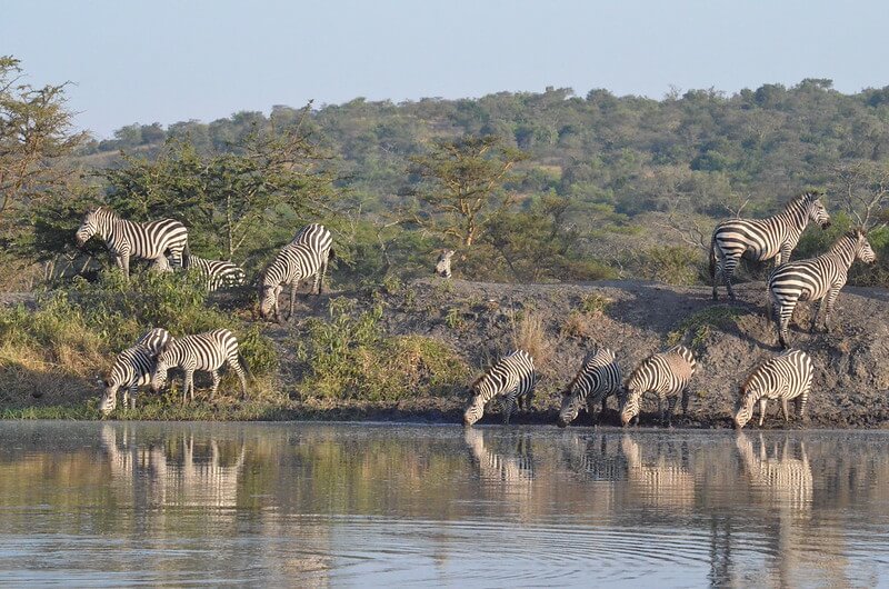 Lake Mburo National park