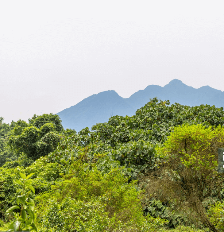 Mugahinga National Park