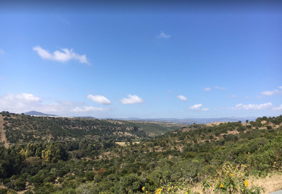 Aberdare National Park