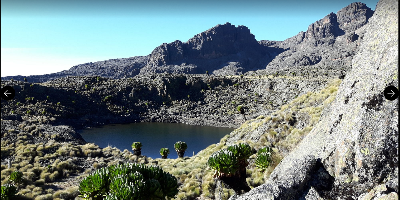 Mount Kenya National Park. Gorilla Trips Rwanda