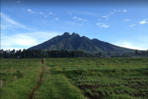 A scenic view of the volcanic peaks in Volcanoes National Park, Rwanda, a renowned gorilla trekking destination.