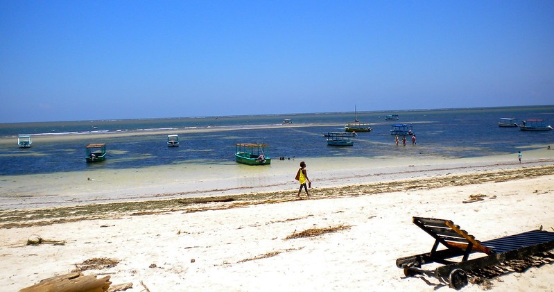 Mombasa Marine National park